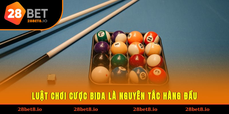 Luật chơi cược bida là nguyên tắc hàng đầu